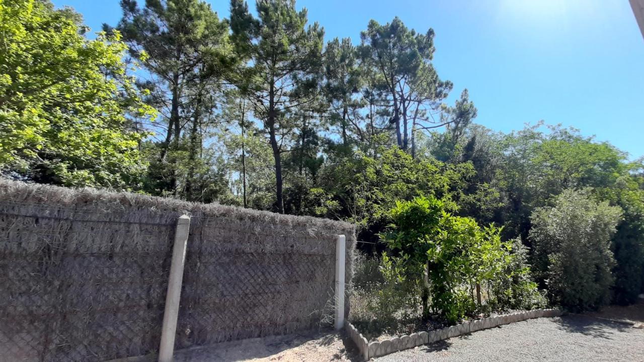 La Foret Des Rossignols - Maison 2 Chambres, Jardin Et Terrasse Saint-Jean-de-Monts Exterior photo